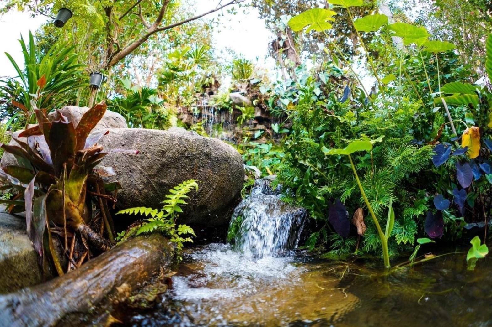 Baan Pingkan Wellness Resort San Kamphaeng Luaran gambar